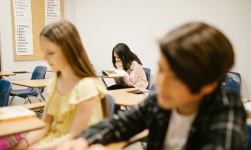 pexels-rdne-6935992 (1)